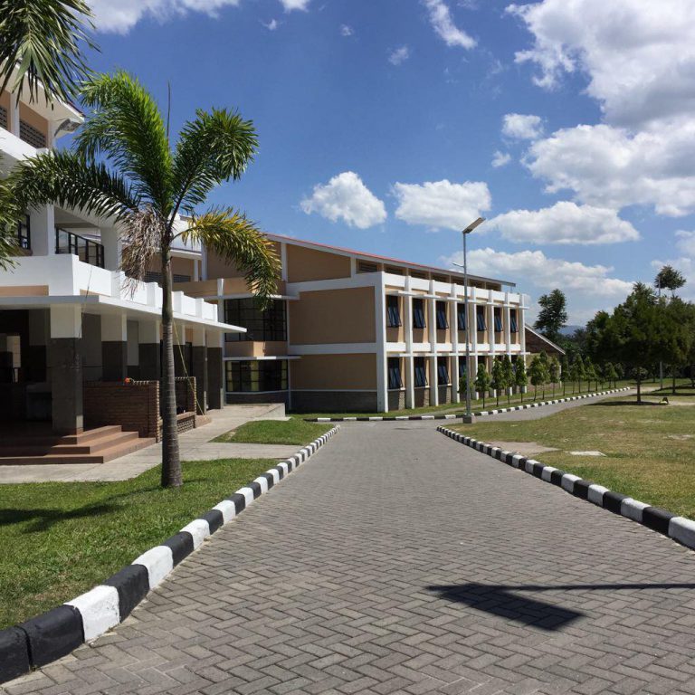 solar led street light project