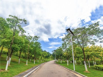 solar led street light application