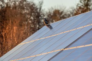 eficiencia de los paneles solares