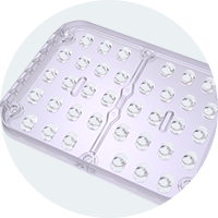 professional solar led street light manufacturer